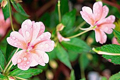 《暗黑破坏神4》1.04版补丁更新 修复多处问题